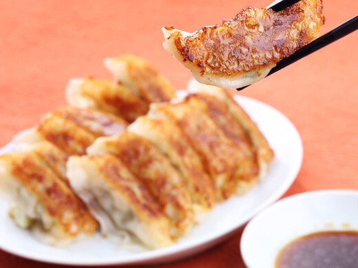 よくばり餃子セット（50個）